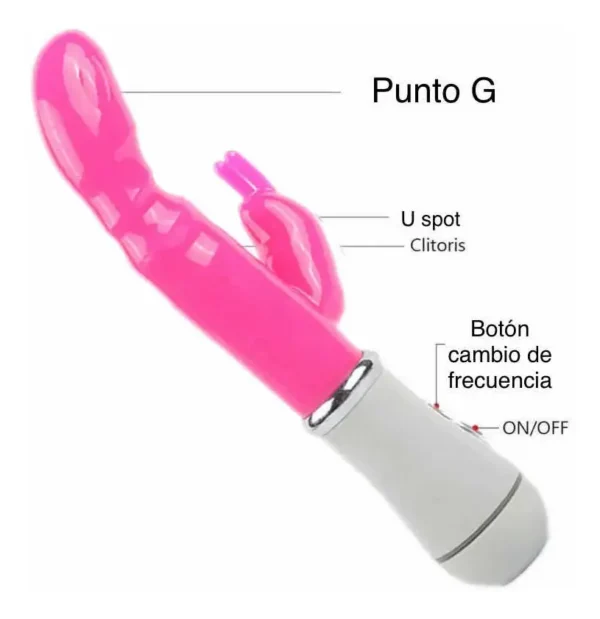 D_NQ_NP_2X_767093-MCO45074800792_032021-F Vibrador con estimulador conejo pilas