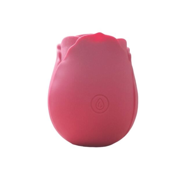 Succionador-Rose-Recargable-(1) Succionador Rose Recargable